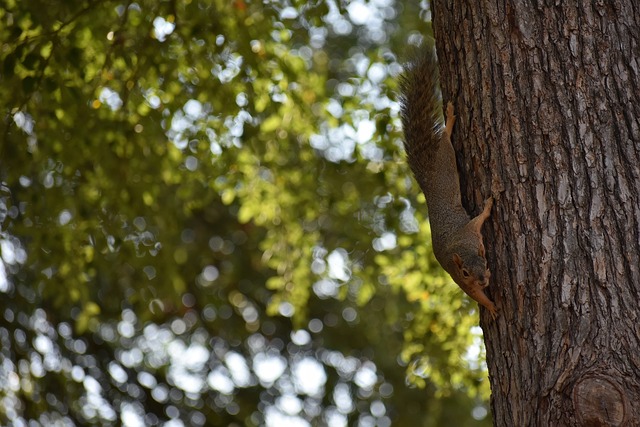 适当调整 适当调整