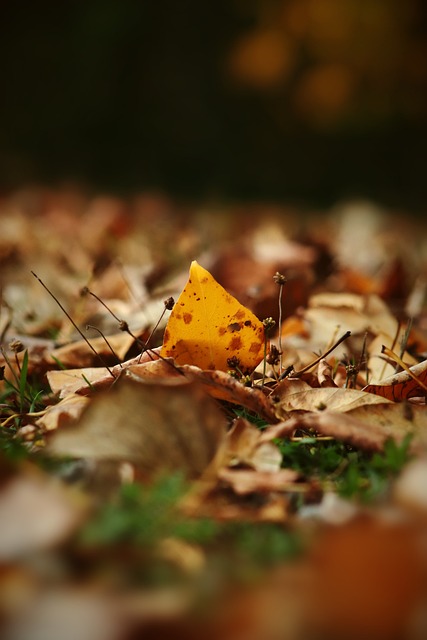 场上还是生 场上还是生