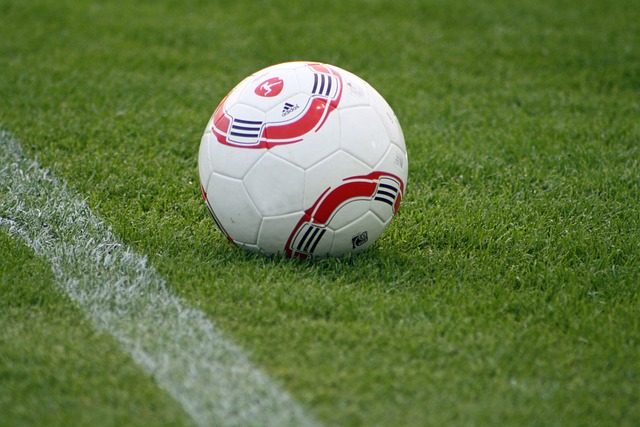 展现了强大 展现了强大