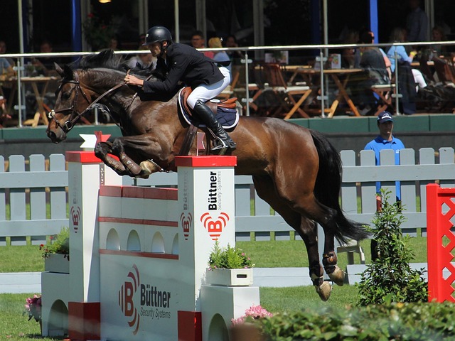 本极具威胁 本极具威胁