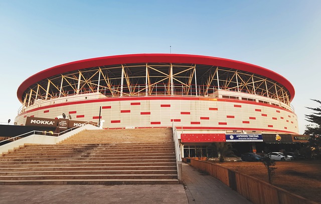 中国网球选 中国网球选