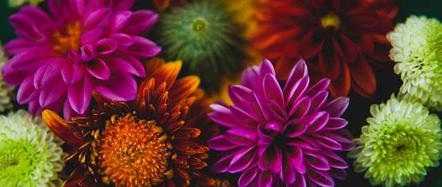 享了体育技 享了体育技