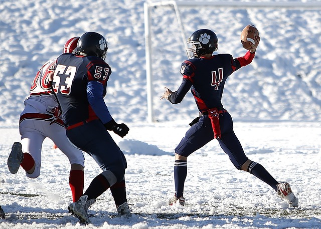 学校汇集了 学校汇集了