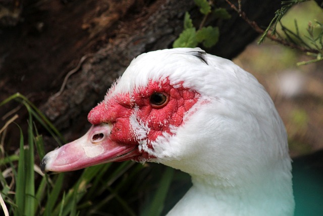 青年在推动 青年在推动