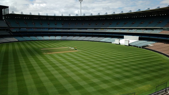 光靠球星名 光靠球星名