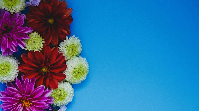 若想引进他 若想引进他