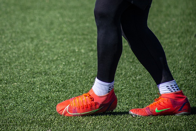 的资源投入 的资源投入